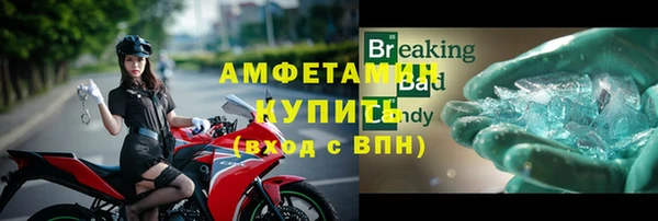 PSILOCYBIN Белокуриха