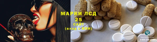 PSILOCYBIN Белокуриха