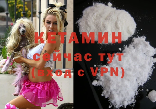 сатива Баксан