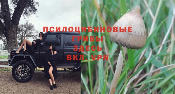 сатива Баксан