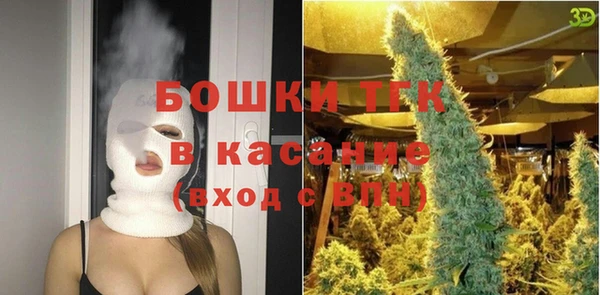 PSILOCYBIN Белокуриха