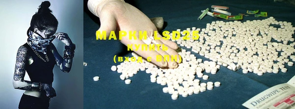 PSILOCYBIN Белокуриха