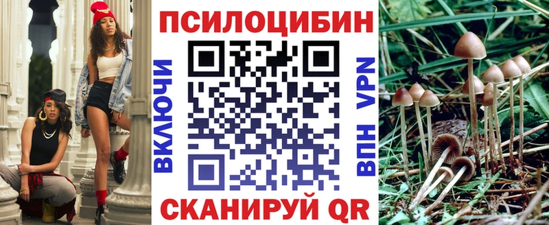 Псилоцибиновые грибы прущие грибы  Жуковка 